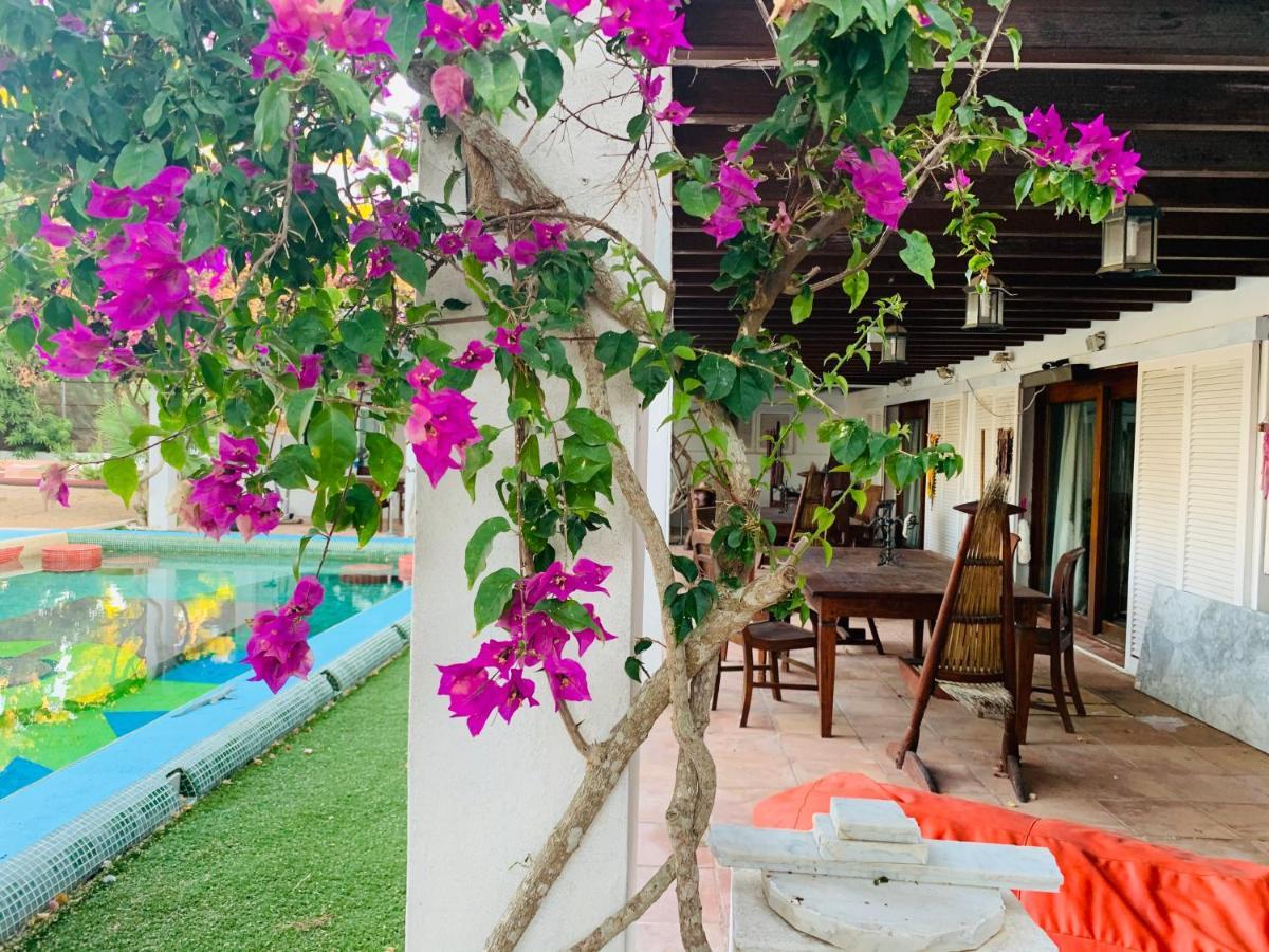 Ibiza Paradise Bed & Breakfast Santa Eularia des Riu Eksteriør bilde